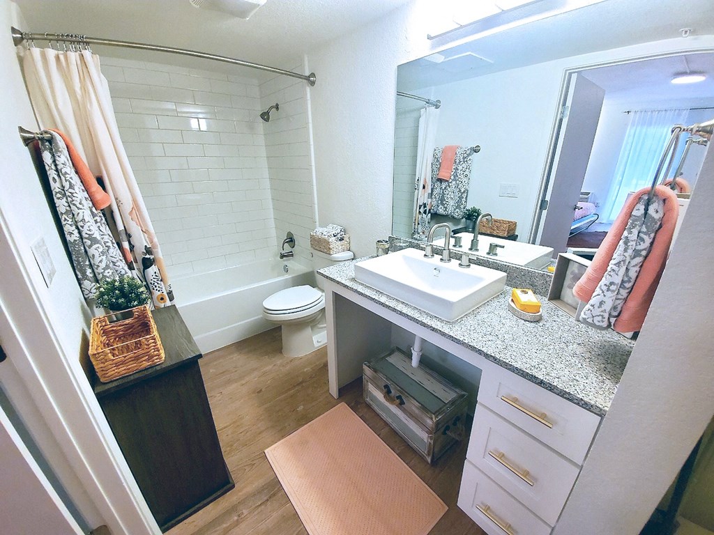 a bathroom with a sink and a toilet and a mirror