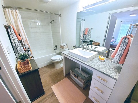 a bathroom with a sink and a toilet and a mirror