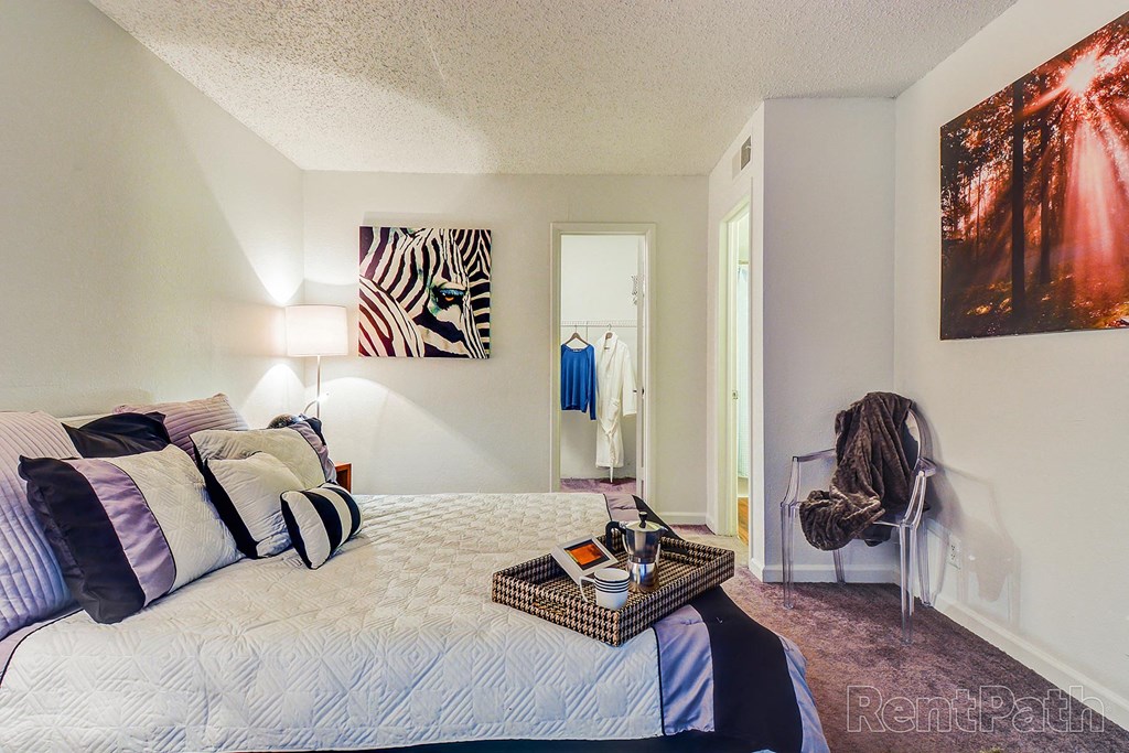 Modern Austin Apartment 