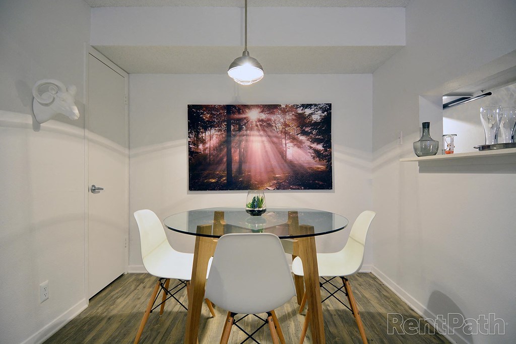 Modern Austin Apartment 