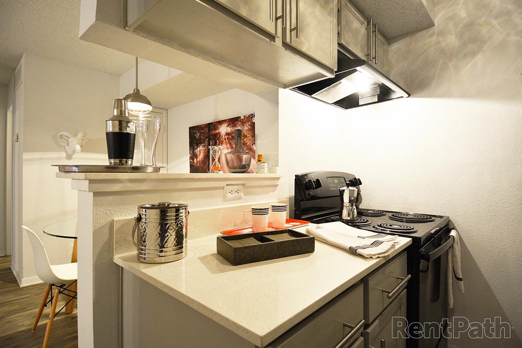 Modern Austin Apartment 