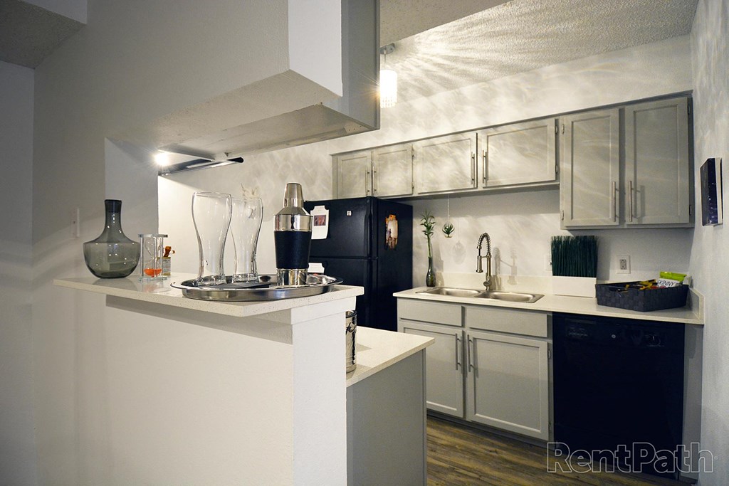 Modern Austin Apartment 