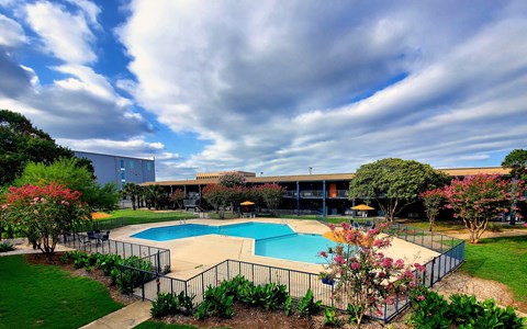 a backyard with a swimming pool and a building
