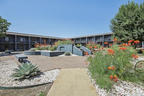 a courtyard with plants and flowers in front of a building
