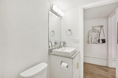 a bathroom with a sink and a mirror and a toilet