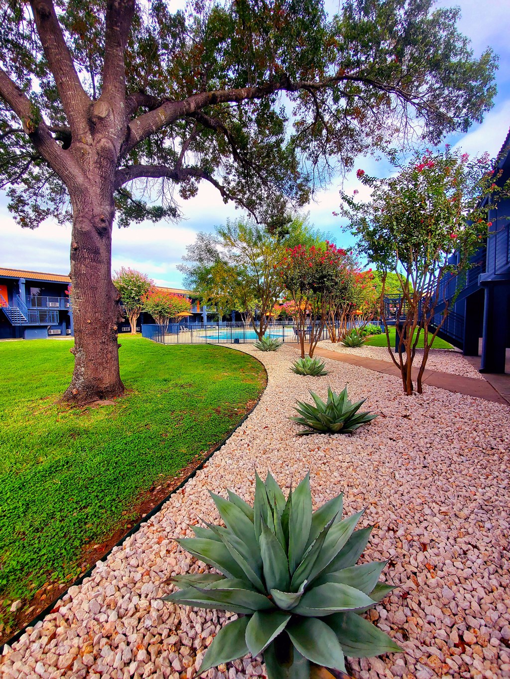 a view of a courtyard with trees and plants