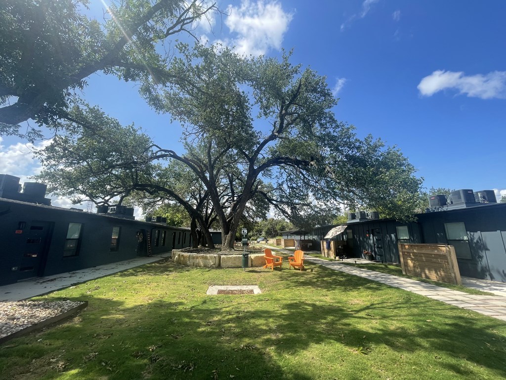 a yard with a tree in the middle of a building