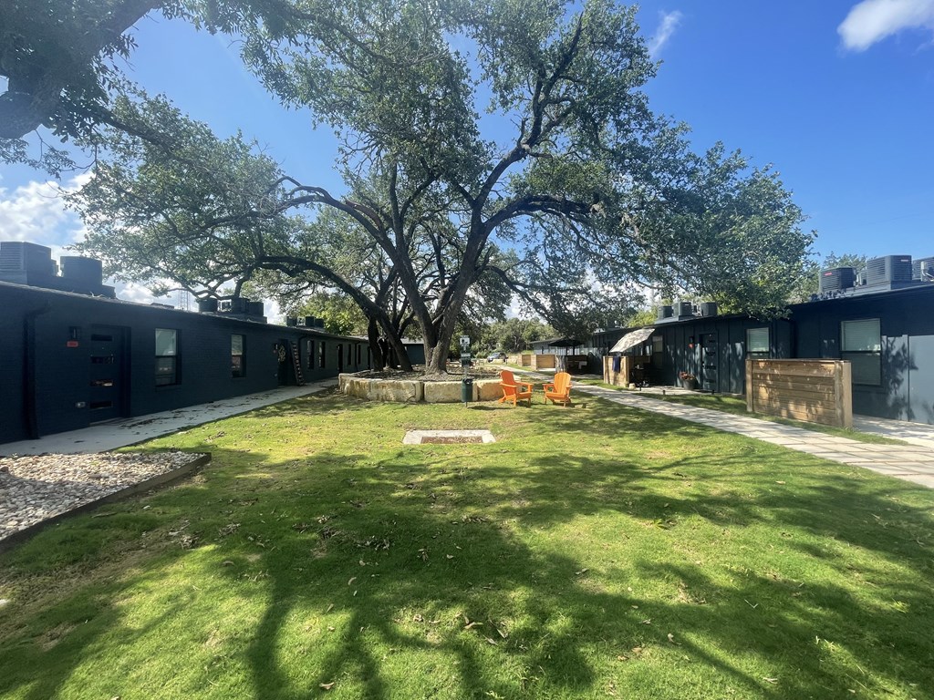 a yard with a tree in the middle of a building