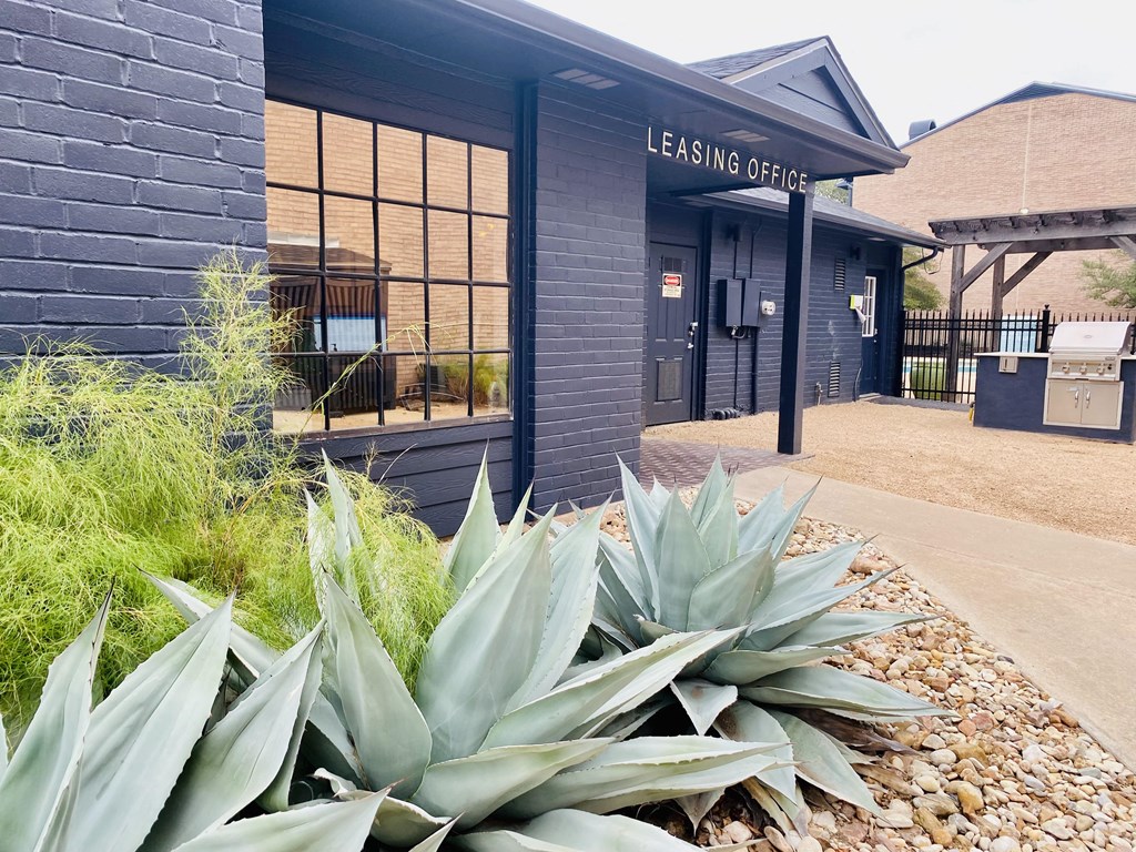 a large agave plant in front of the leasing office