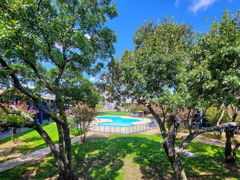 a backyard with a swimming pool and trees