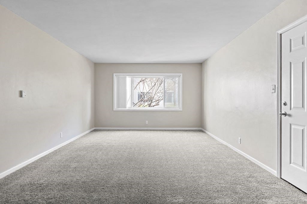 Plush Carpeting at Gloria Homes Apartments, Los Angeles, CA