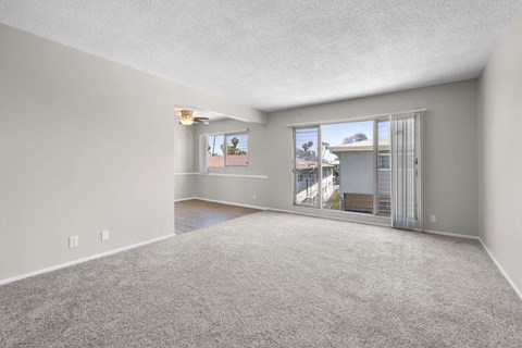 A spacious room with a carpeted floor and a large window overlooking a street.