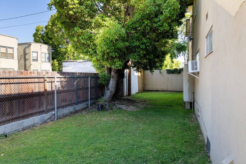 A tree in a backyard with a fence and a house in the background.