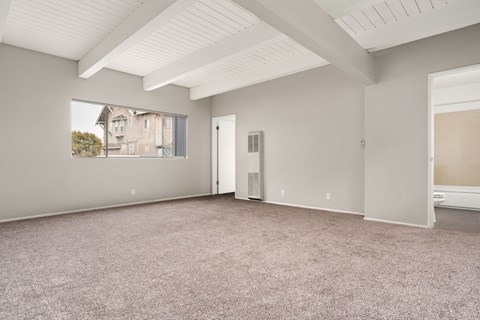 A spacious room with a carpeted floor and a window showing a building outside.