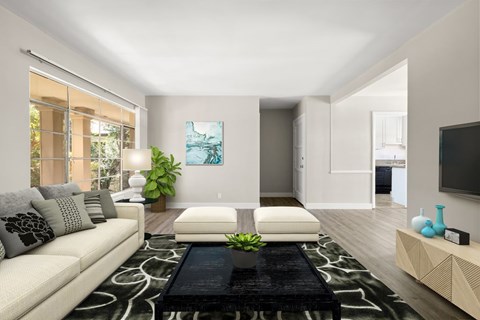 A living room with a white couch and a black and white rug.