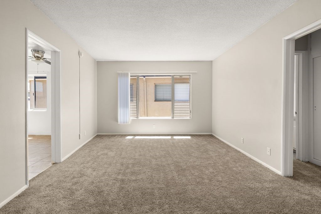 A room with a carpeted floor and a window with blinds.