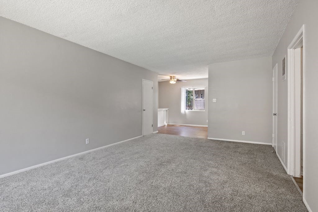 a bedroom with gray walls and a carpeted floor