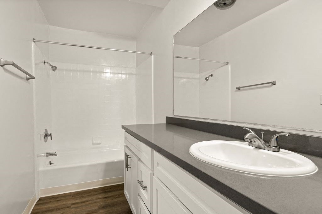 a bathroom with a sink and a shower