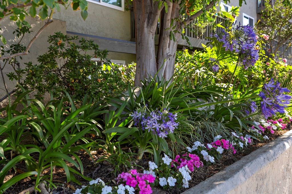a flower bed in front of a building