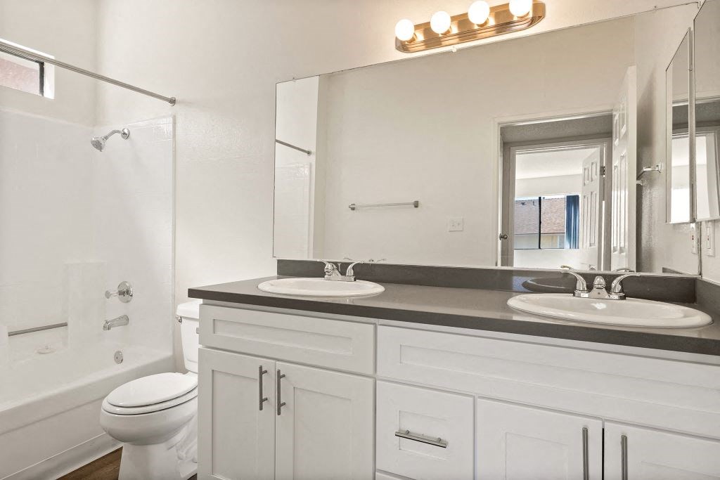 a bathroom with a sink and a toilet and a mirror