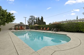 Sparkling Swimming-Pool