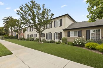 Lush Landscaping