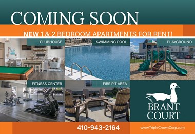 29568 Brant Court 1-2 Beds Apartment for Rent Photo Gallery 1