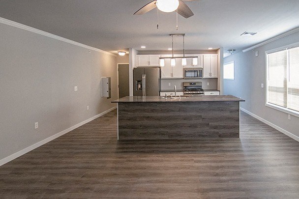 1 Bedroom kitchen and living area