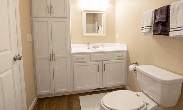 a bathroom with white cabinets and a toilet and a sink