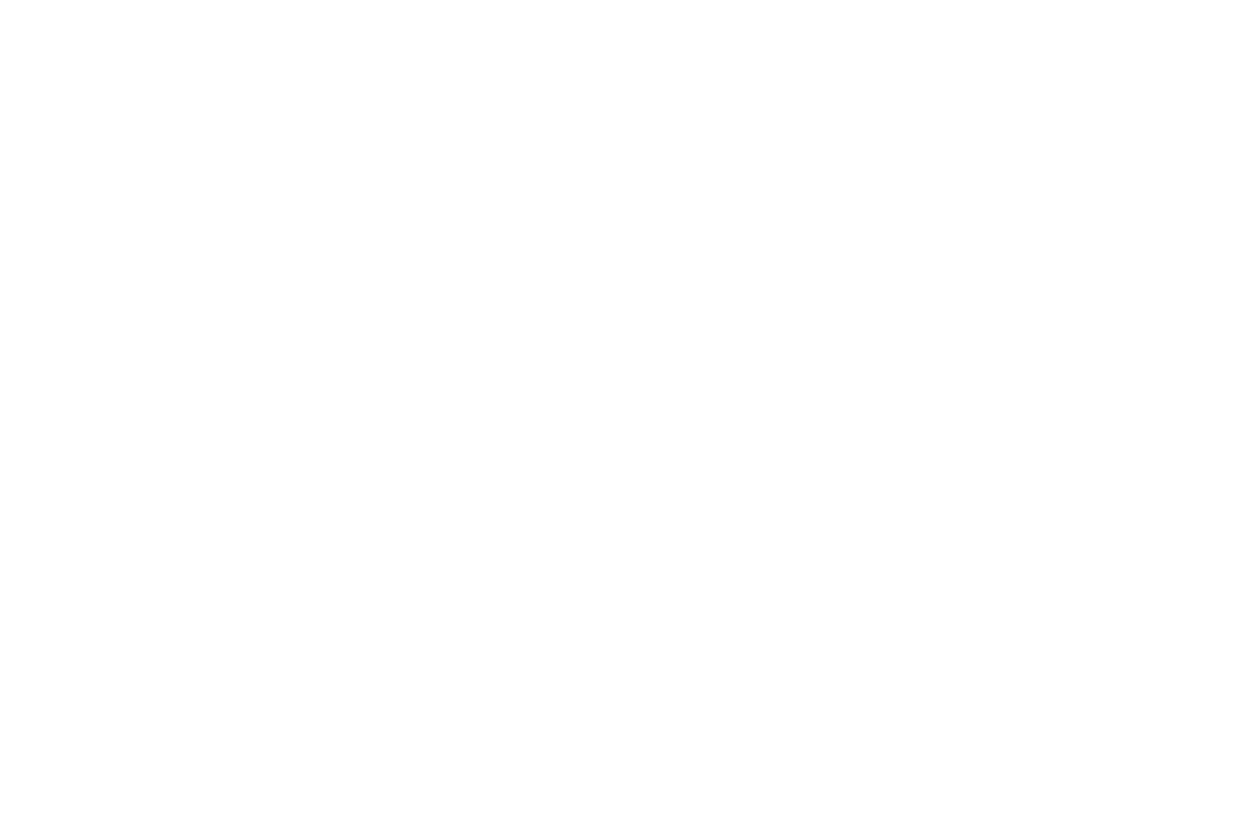 A black and white logo with the text "The View at High Pointe".