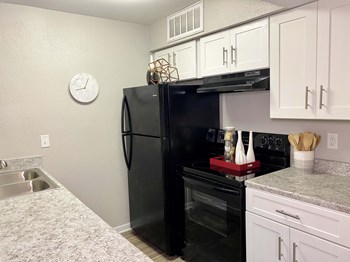 Granite Counter Tops In Kitchen Granite Counter Tops In Kitchen at The Life at Forest View, Texas, 77531 - Photo Gallery 4