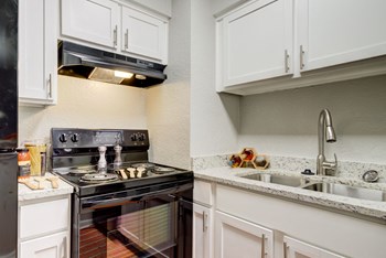Fully Equipped Kitchen with Granite Countertops - Photo Gallery 4