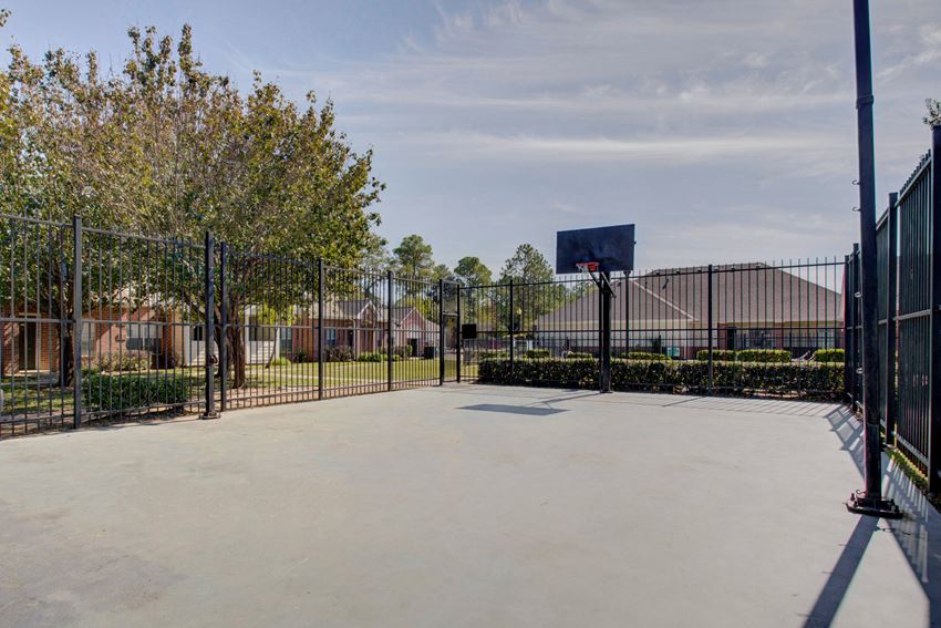 a basketball court at the whispering winds apartments in pearland, tx - Photo Gallery