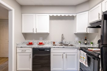 Renovated Kitchen - Photo Gallery 4