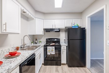 Renovated Kitchen - Photo Gallery 5