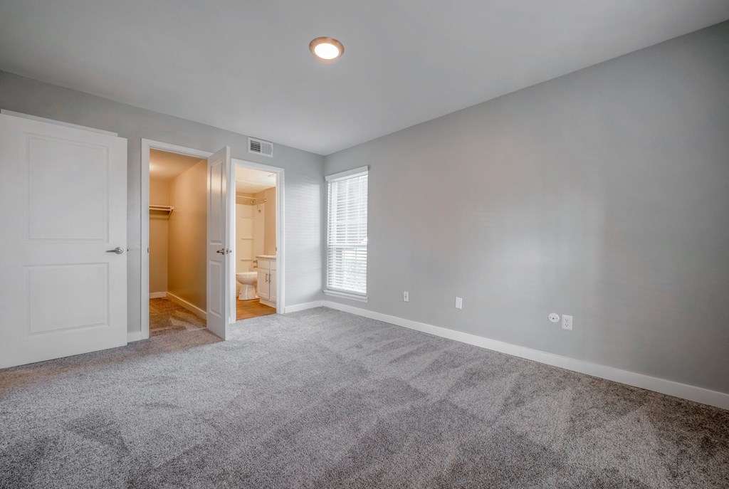 The Life At Wood Springs