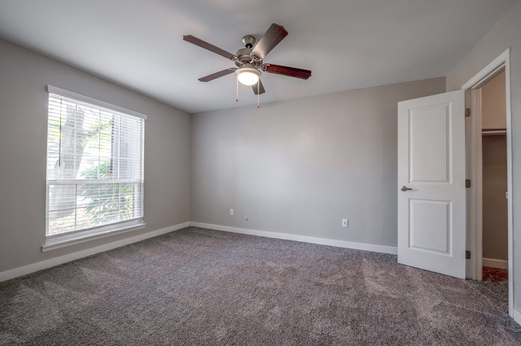 The Life At Wood Springs