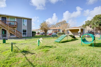 201 Hackberry ST 1-3 Beds Apartment for Rent - Photo Gallery 16