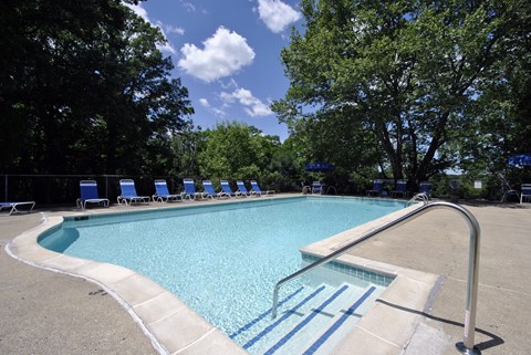 A swimming pool surrounded by trees and blue lounge chairs.