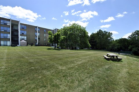 A large grassy field with a picnic table and apartment buildings in the background.