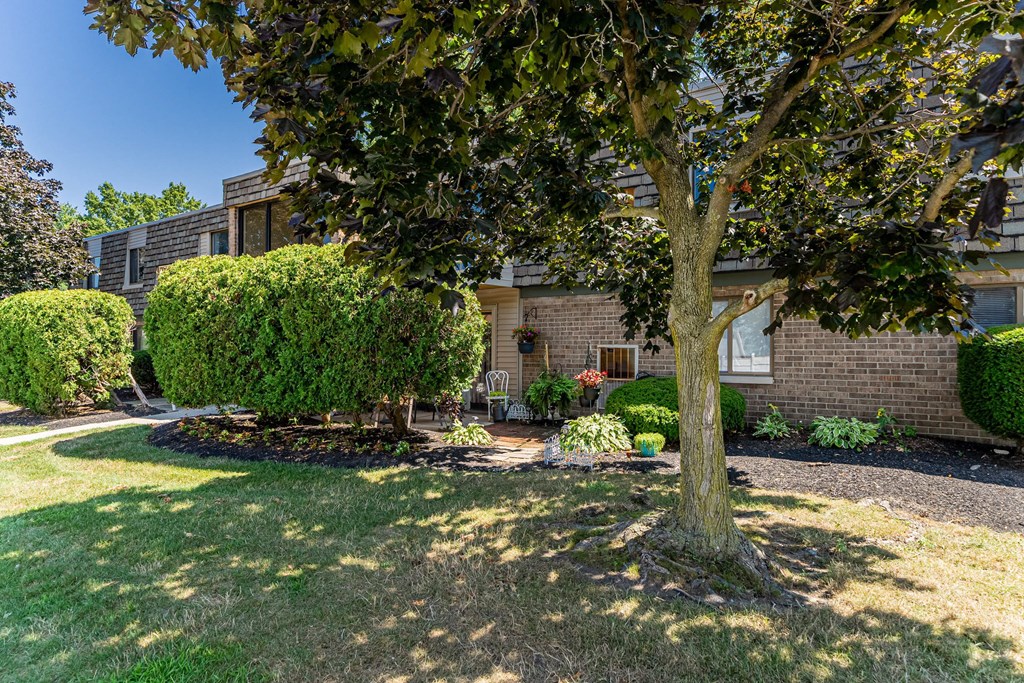 A tree in a yard in front of a house.
