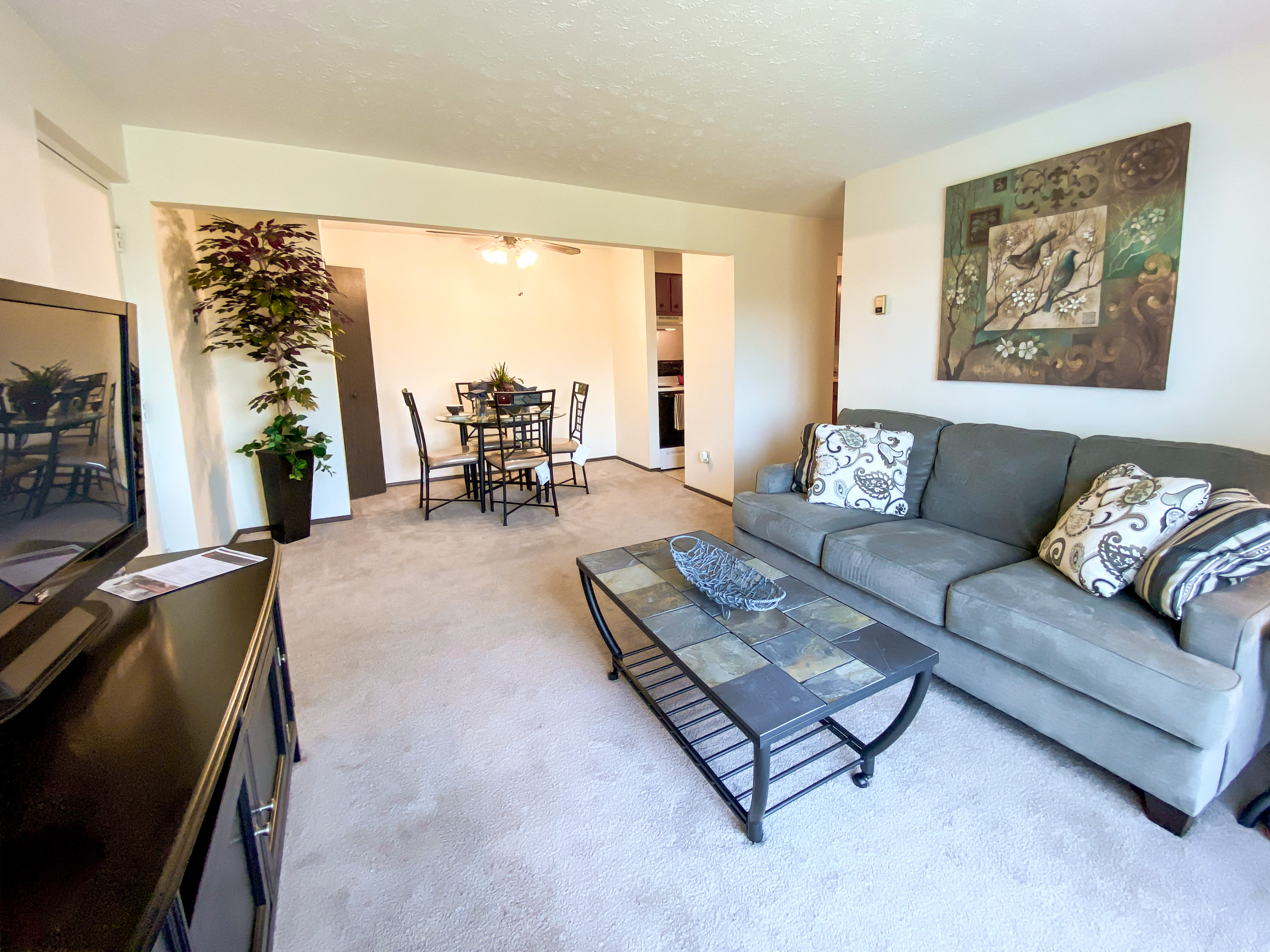 A living room with a grey couch and a glass coffee table.