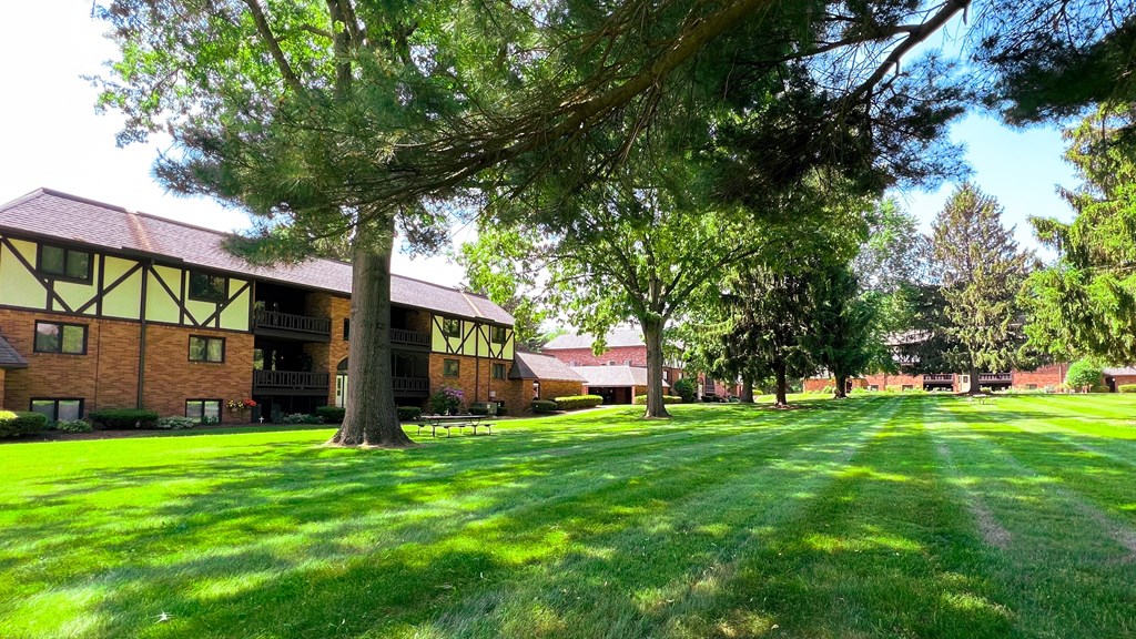 a large grassy area with trees and buildings in the background
