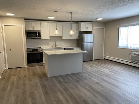 Fully Equipped Kitchen with expansive windows at Cedarwood Estates Apartments, Willoughby, OH, 44094