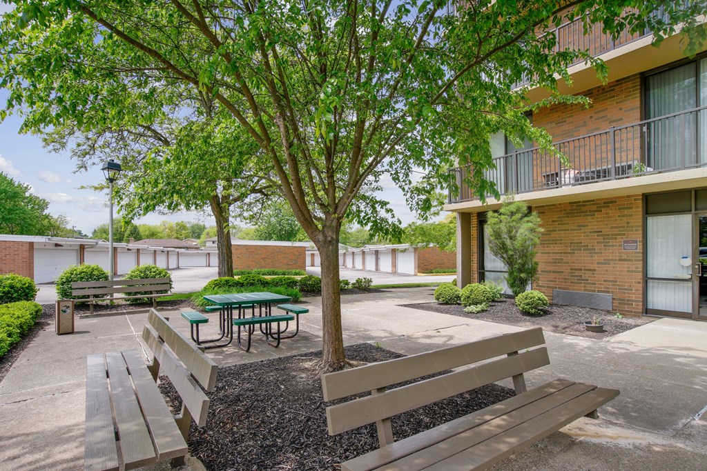A tree with a green leaf is in the center of the image at Independence Place Apartments, Parma Heights, OH 44130