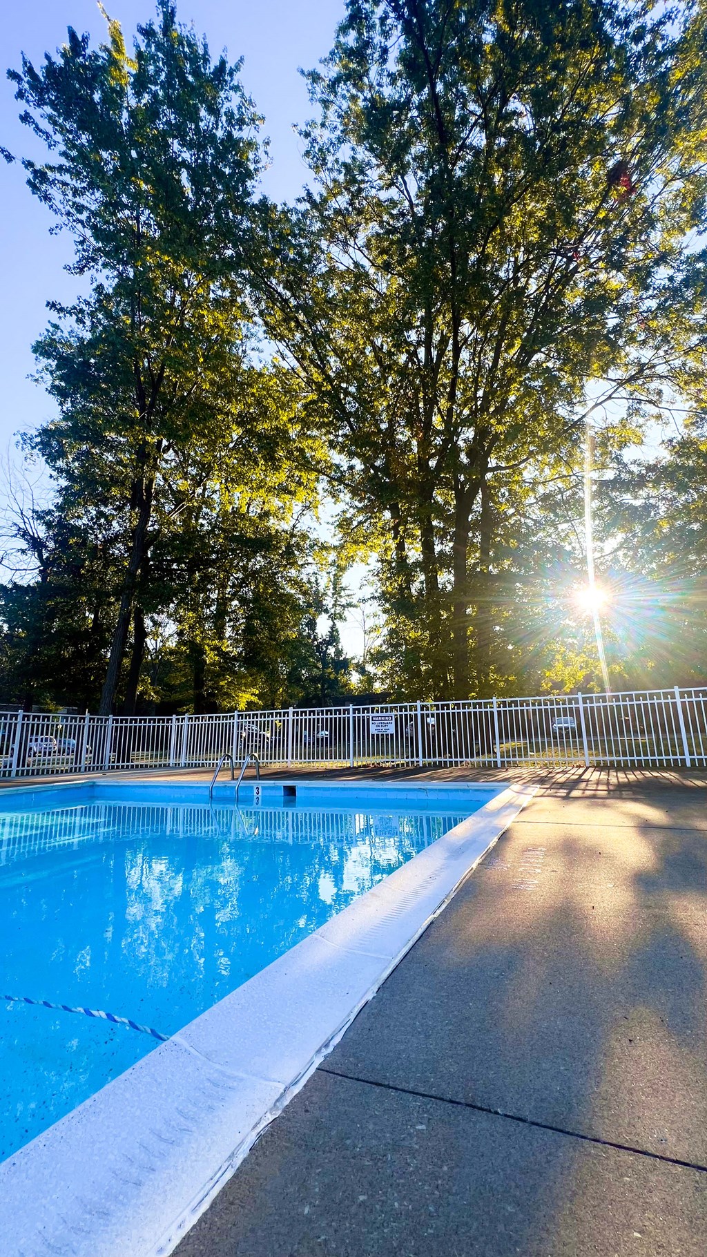 A pool surrounded by trees with the sun shining through the branches.