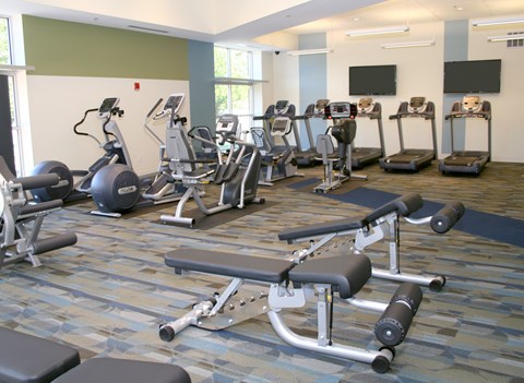A gym with a variety of equipment including treadmills, stationary bikes, and weight benches at Hummingbird Pointe & The Gardens, Parma, OH 44129