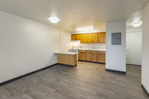 A kitchen area with wooden cabinets and a countertop.