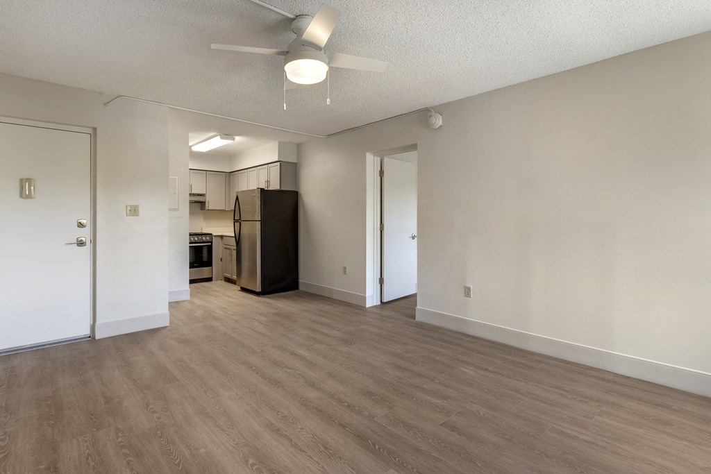 Living Room and Kitchen