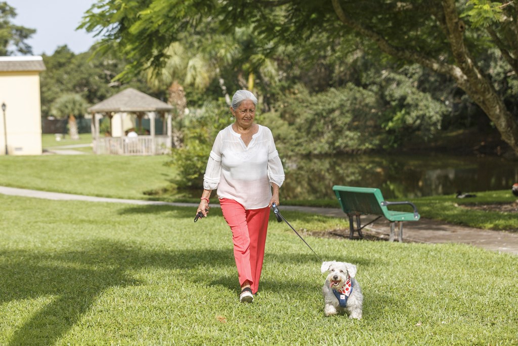 Resident Walking Dog